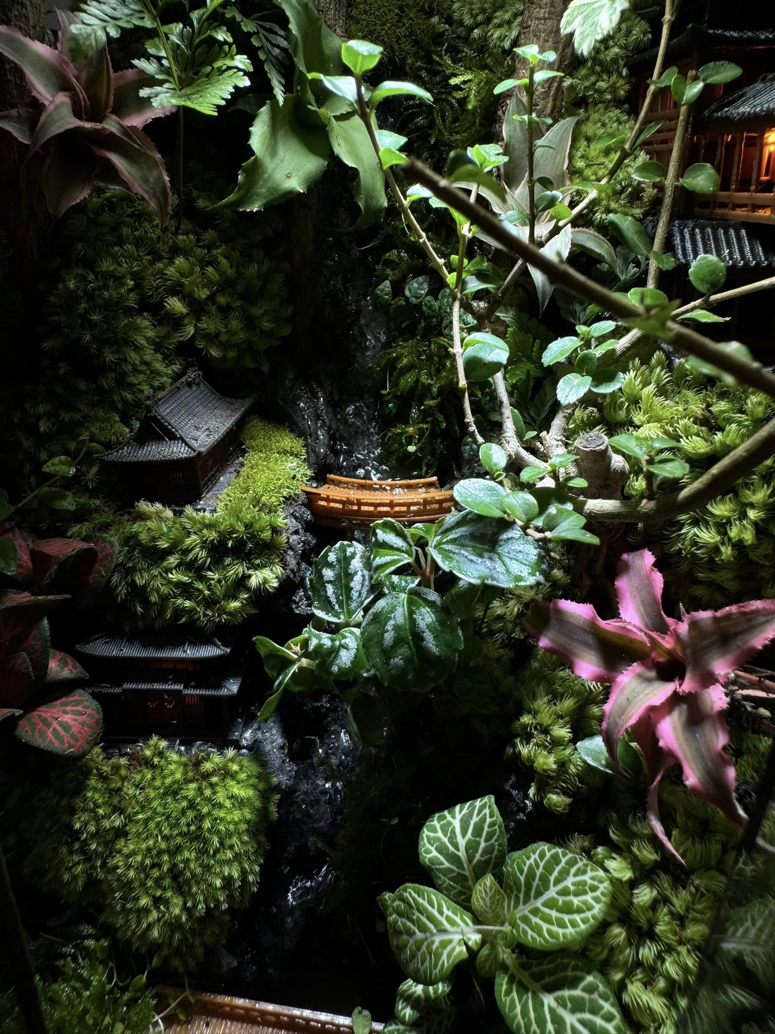 Workshop Terrarium Đà Nẵng | Làm Quà Khai Trương, Tặng Sếp Ý Nghĩa