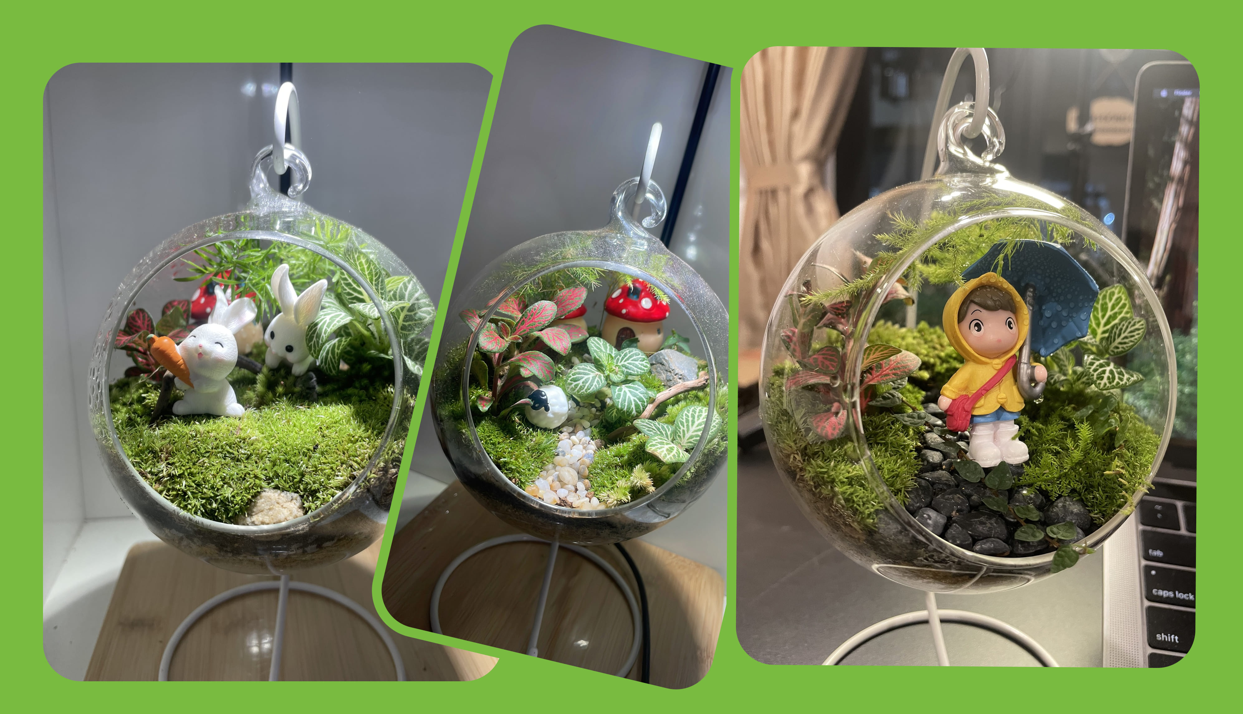 Workshop Trồng Cây Đà Nẵng | Trải Nghiệm Làm Terrarium Tại Terrum