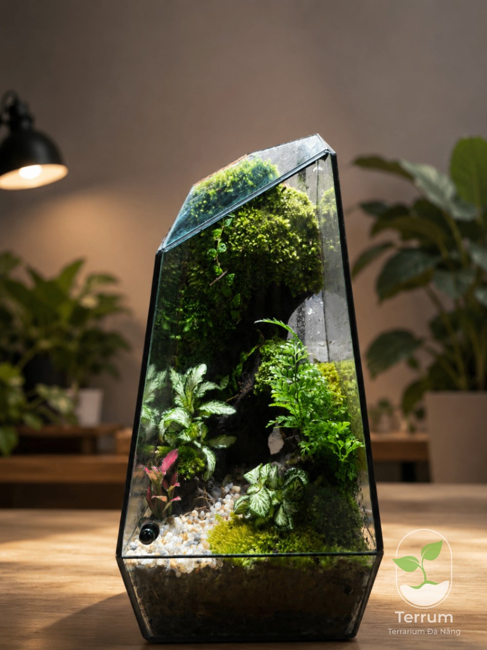 Terrarium Là Gì? Hướng Dẫn Từ A-Z Cho Người Mới Bắt Đầu